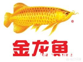 如何定义期货交易里的“成功”