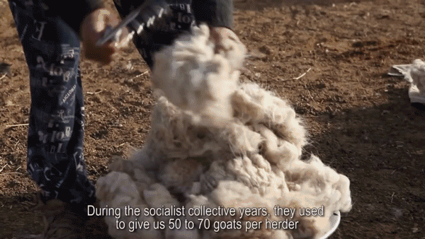 如何清洗羊绒大衣