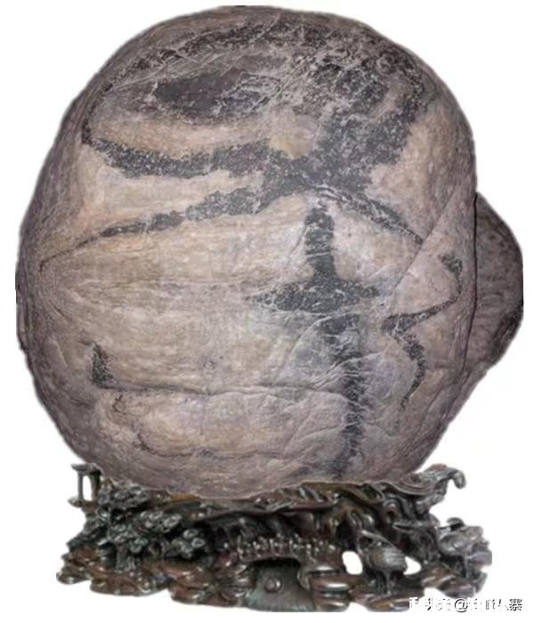 为什么有人觉得活得越来越孤独了，是什么导致的呢