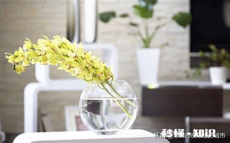 问“单身狗”，你有过初恋么是怎样的