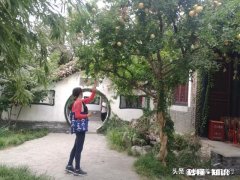 讲究的人，出差旅行是不是都会备上电热水杯