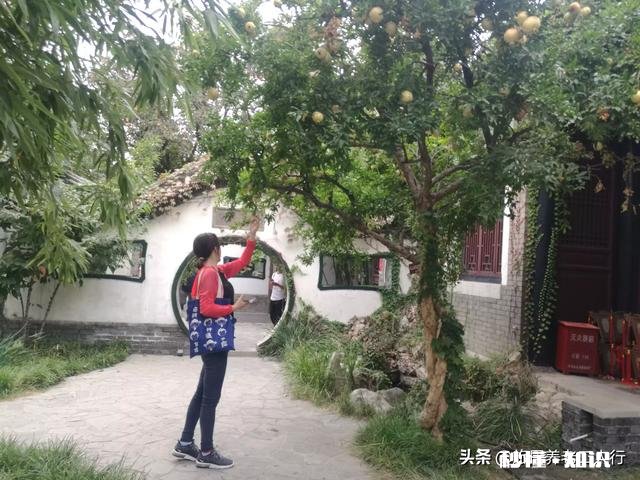 讲究的人，出差旅行是不是都会备上电热水杯