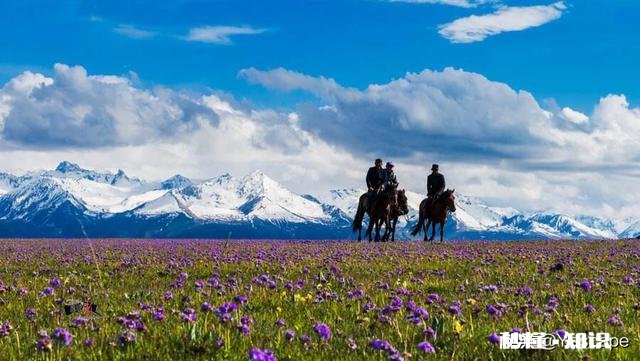 疫情过后，新疆的旅游业会迎来井喷态势的增长还是行业的惨淡