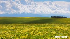 疫情过后，新疆的旅游业会迎来井喷态势的增长还是行业的惨淡