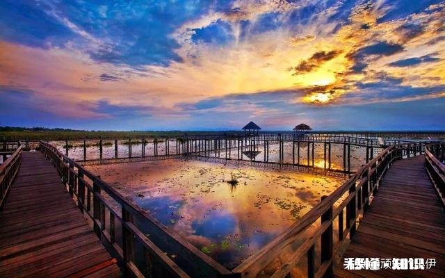 春节放假期间准备去泰国旅游有没有推荐地方，曼谷还是普吉岛呢