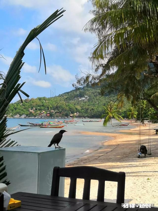 春节放假期间准备去泰国旅游有没有推荐地方，曼谷还是普吉岛呢