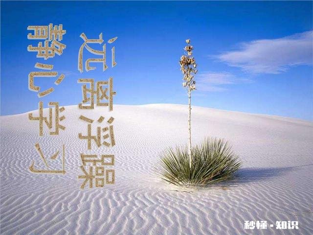 这个浮躁的世界，能静下心来的又有多少人