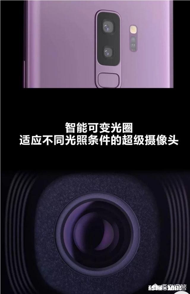 手机比相机“更聪明”吗为什么手机可以做到用手持拍摄夜景，相机就不能