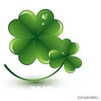 26岁大专学历考公务员还有希望吗