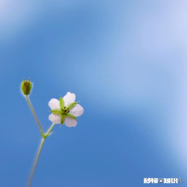 26岁大专学历考公务员还有希望吗