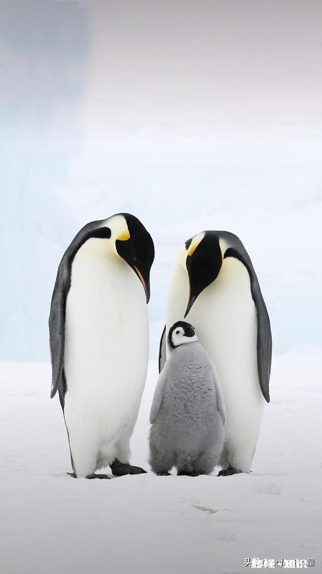 为什么女人越管的严,男人越和你对着干