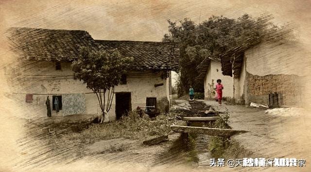 山东哪些小吃,让你念念不忘有什么经历分享