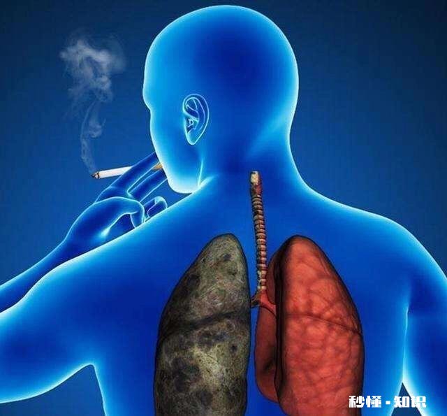 办公室到底该不该全面禁烟