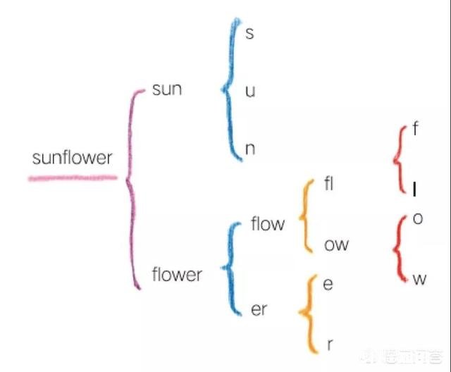 国外孩子是怎么运用思维导图来学习的