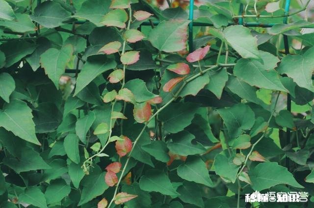 个人自由摄影师怎样开展一个长期的摄影项目