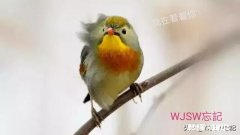 你尝试过什么叫孤独吗