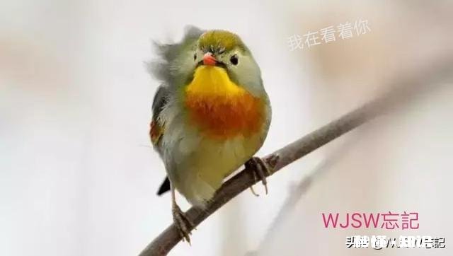 你尝试过什么叫孤独吗