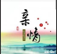 有人说“只有父母、子女的亲情是无价的，兄弟姐妹的亲情都是有价的”对此你怎么看