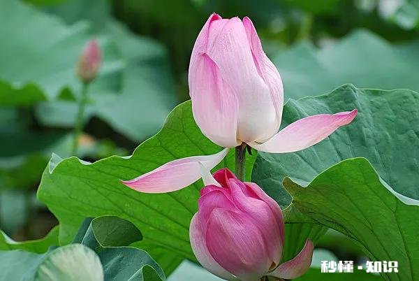 退休后最想做的事是什么