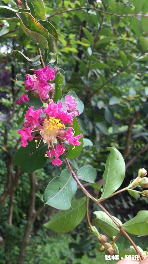 当孩子犯错误时，爷爷奶奶姥姥姥爷总是护短，这隔代教育怎么办