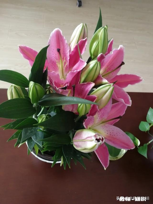 “烟酒不沾、寿命更短”问题出在哪