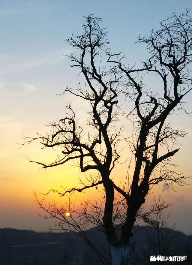 叙政府起诉美国掠夺叙石油资源，成功的几率有多大