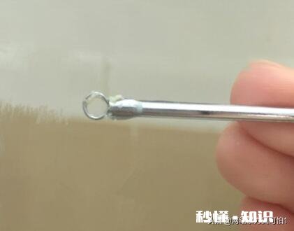 黑头到底如何去有什么大咖经验可以分享