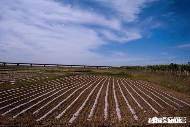 人像摄影作品很容易表现曲线，那么风光摄影作品当中如何表现曲线