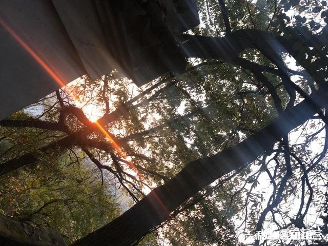 人像摄影作品很容易表现曲线，那么风光摄影作品当中如何表现曲线