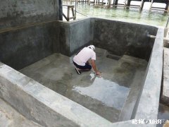 小水泥池混合养鱼的方法