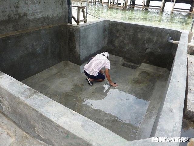 小水泥池混合养鱼的方法