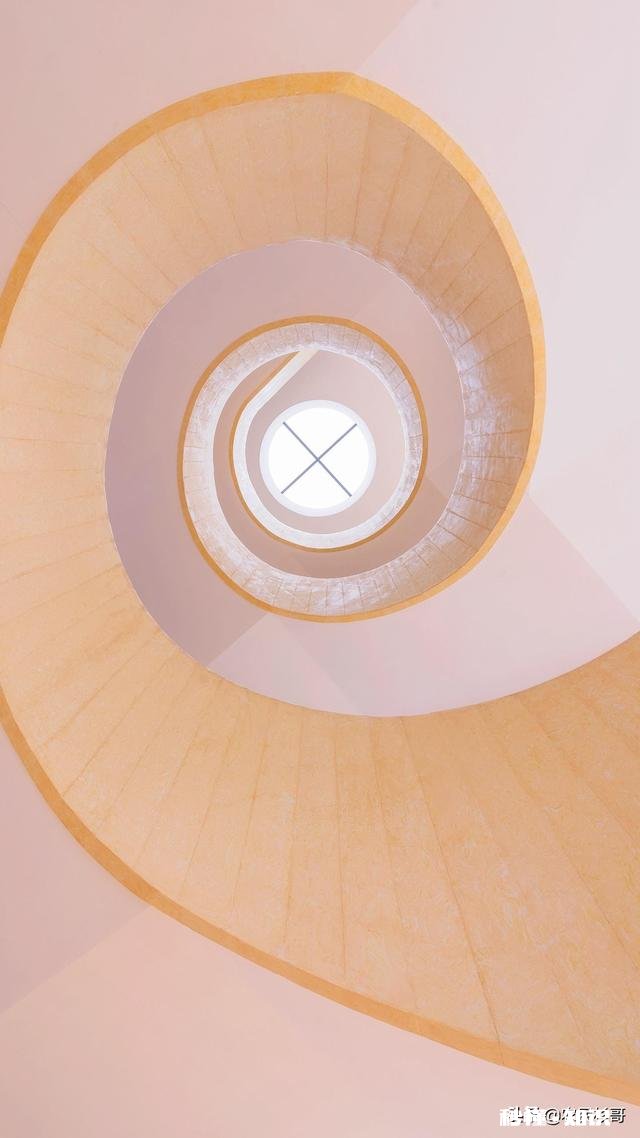 现在玉米价格已上涨到每市斤1.05元，未来还会继续上涨吗上涨幅度大不大