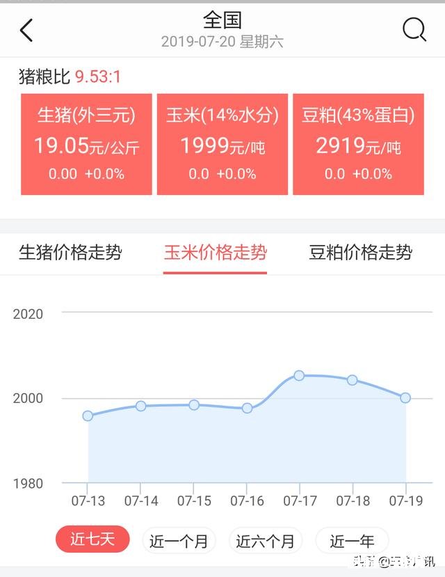 现在玉米价格已上涨到每市斤1.05元，未来还会继续上涨吗上涨幅度大不大