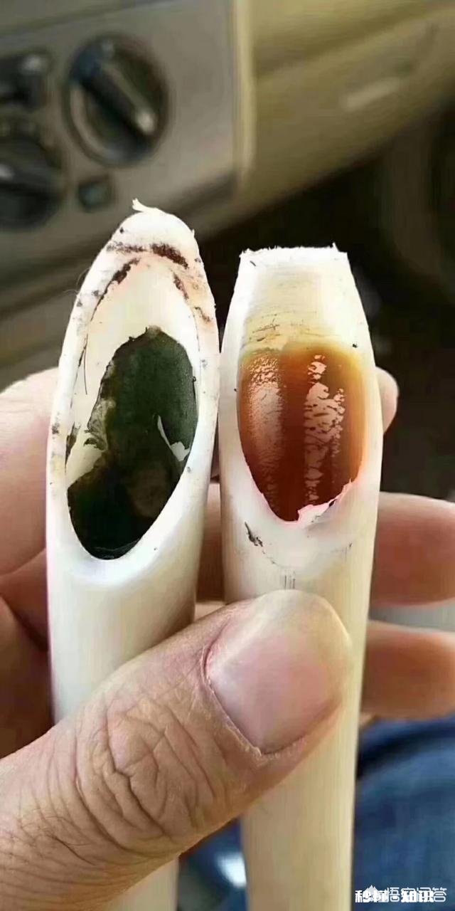 投资10-20万，有什么好的投资项目推荐