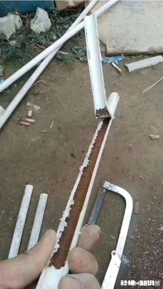 投资10-20万，有什么好的投资项目推荐