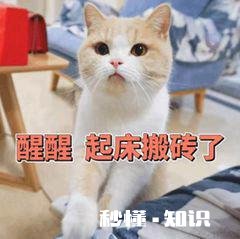 你对大学期间谈恋爱的看法是什么