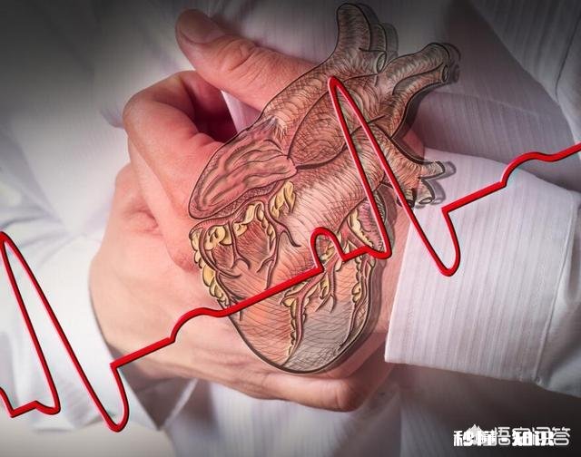 在古代，中医称心脏为什么