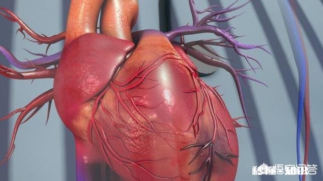 在古代，中医称心脏为什么