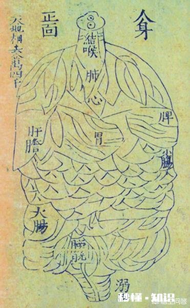 在古代，中医称心脏为什么