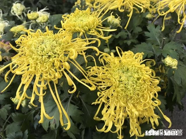 只靠看电视打发时间,这种人生你怎么看