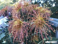 只靠看电视打发时间，这种人生你怎么看