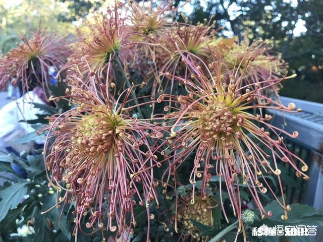 只靠看电视打发时间,这种人生你怎么看