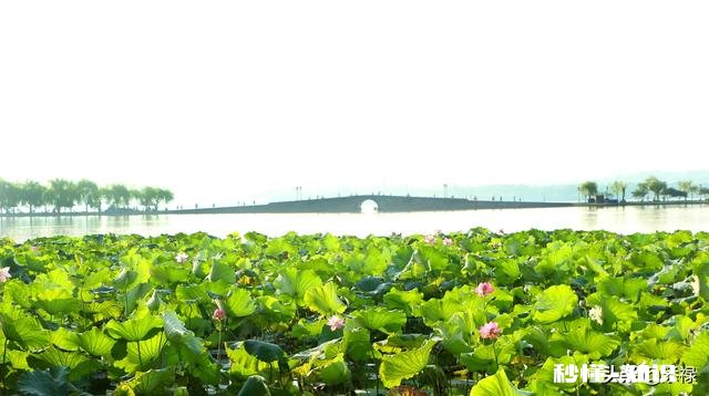 现在适合去浙江那边旅行吗