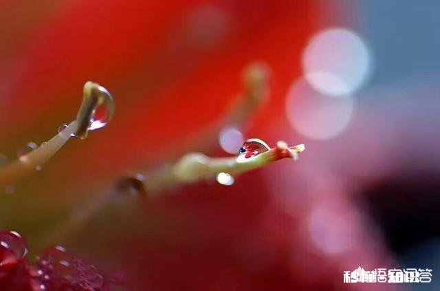 老师作为家长时，也会每天陪孩子写作业到很晚吗也会替孩子做老师布置的手工吗