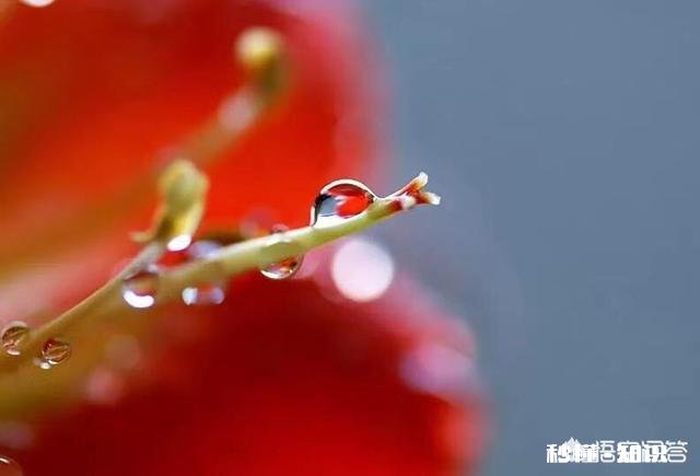 老师作为家长时，也会每天陪孩子写作业到很晚吗也会替孩子做老师布置的手工吗