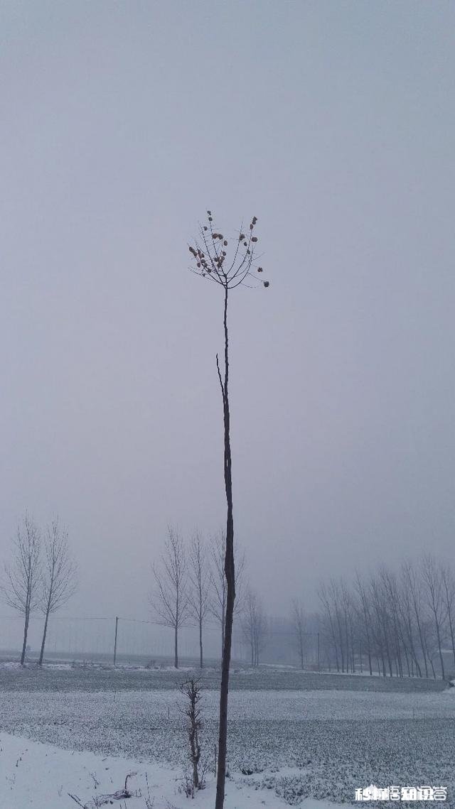 老师作为家长时，也会每天陪孩子写作业到很晚吗也会替孩子做老师布置的手工吗