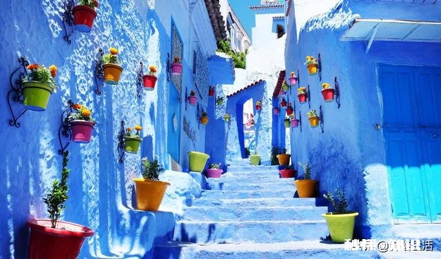 如果让你去非洲旅游,你更想去哪个国家玩为什么