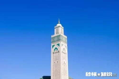 如果让你去非洲旅游,你更想去哪个国家玩为什么