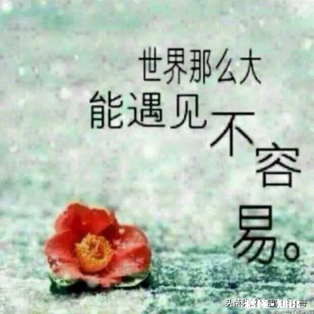 亲家应该怎样相处