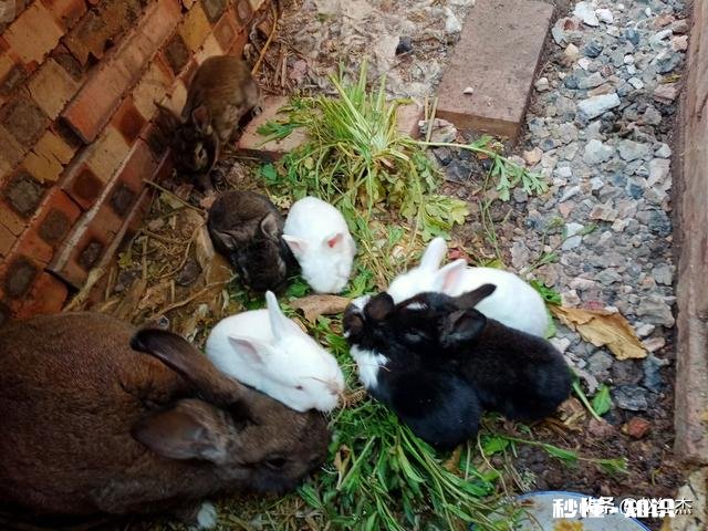 伺候了老汉一辈子，今天做饭晚点就发脾气准备打我。我该怎么办